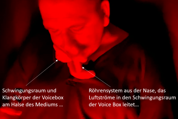 ecto voicebox Kai Mügge
