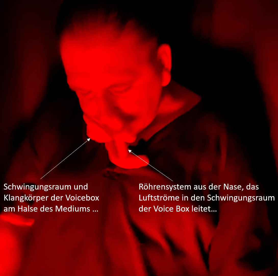 ecto voicebox Kai Mügge